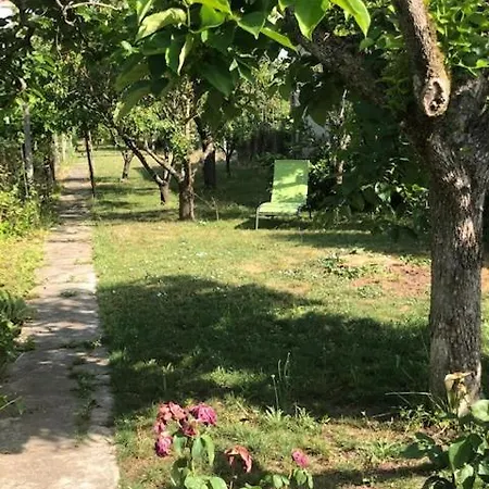 Chez Carmen Αλμπί