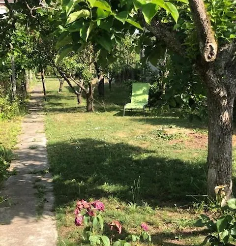 Chez Carmen Αλμπί